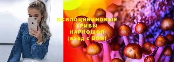 дживик Беломорск