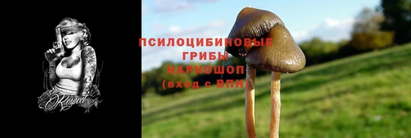 дживик Киреевск