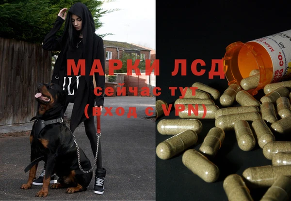 дживик Беломорск