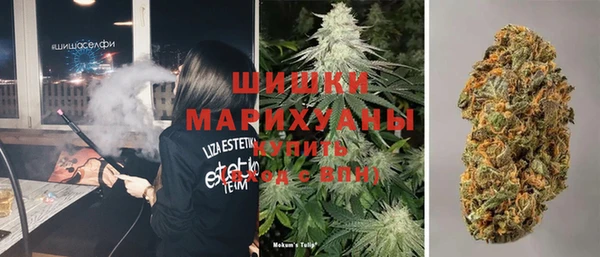 дживик Беломорск