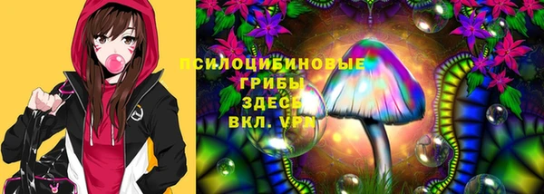 ECSTASY Белоозёрский