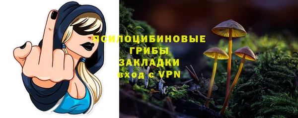 дживик Беломорск