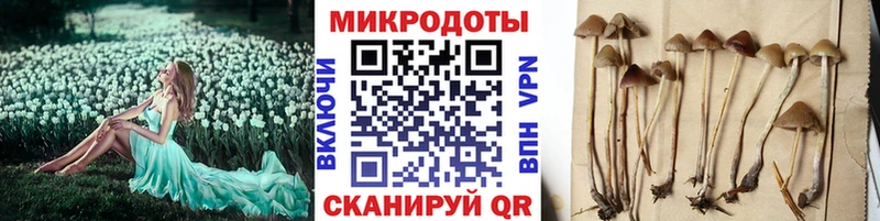 Галлюциногенные грибы мицелий  как найти   Свободный 