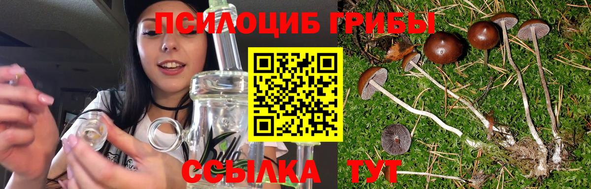 Псилоцибиновые грибы ЛСД Свободный