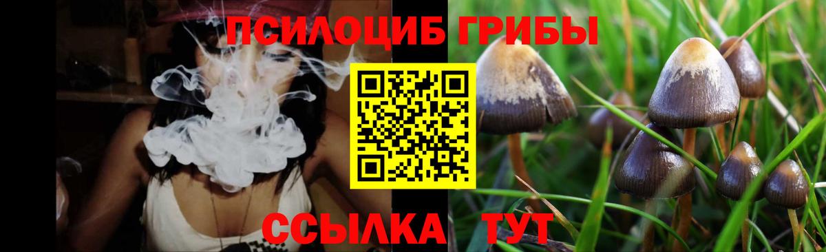 Галлюциногенные грибы Magic Shrooms  Вход с VPN  Галлюциногенные грибы прущие грибы  Свободный 